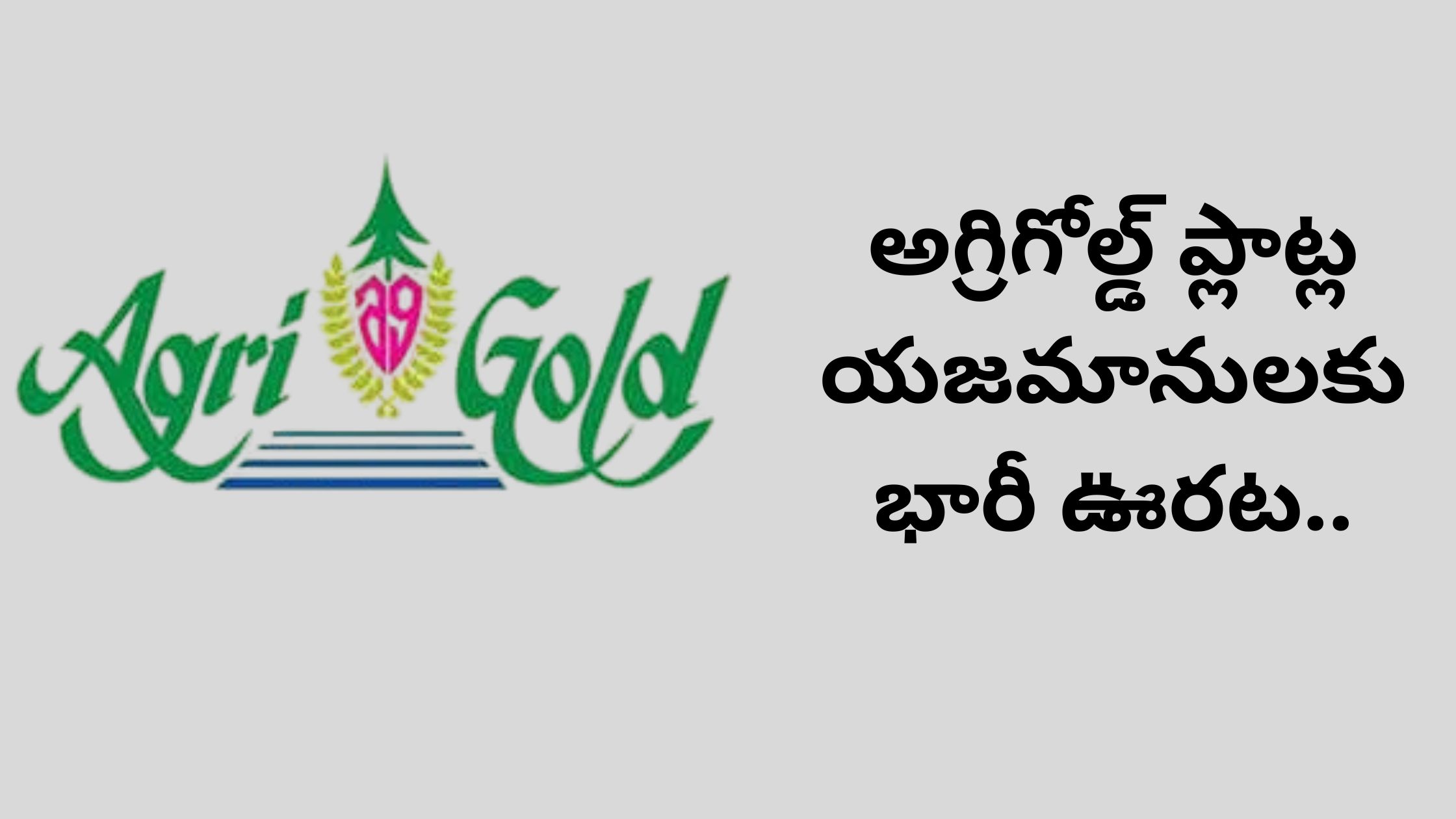 Huge relief for AgriGold plot owners..